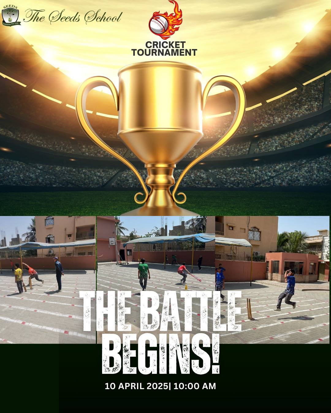 Cricket Final Showdown!🏏